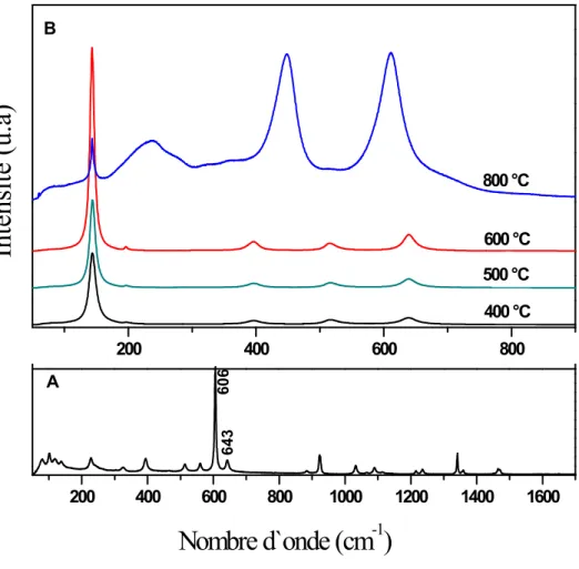 Figure VII.7 :Spectre Raman de TiO 2  NANORODS à différentes valeurs de    températures (A) : Avant traitement , (B) : après traitement