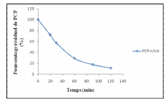 Figure  .VII.15 : Pourcentage résiduel de  PCP en fonction du temps à l`absence du  catalyseur
