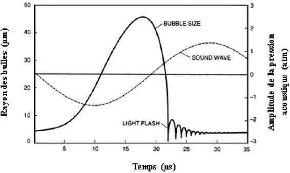 Figure I-6: Évolution du diamètre d’une bulle transitoire au cours d’un cycle ultrasonore  (eau, 25 kHz) [52]