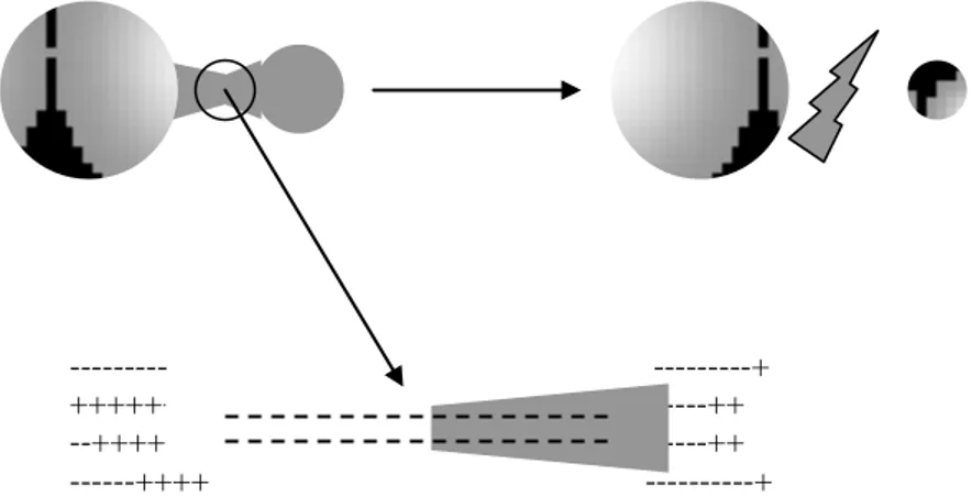Figure 8. Polarisation et fragmentation de la bulle selon Margulis  I.2.5. Sonochimie et formation d’espèces oxydantes 
