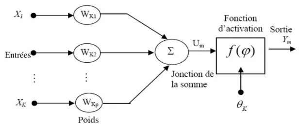 Figure III.1 : Modèle non linéaire de neurone 