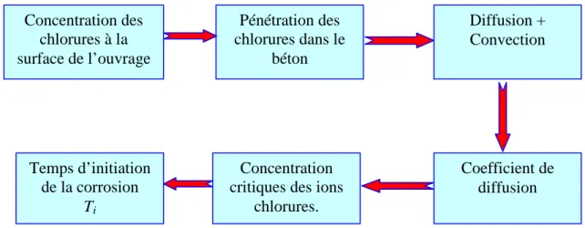 Figure 1.12 : étapes d’initiation de la corrosion des câbles dans le béton. 