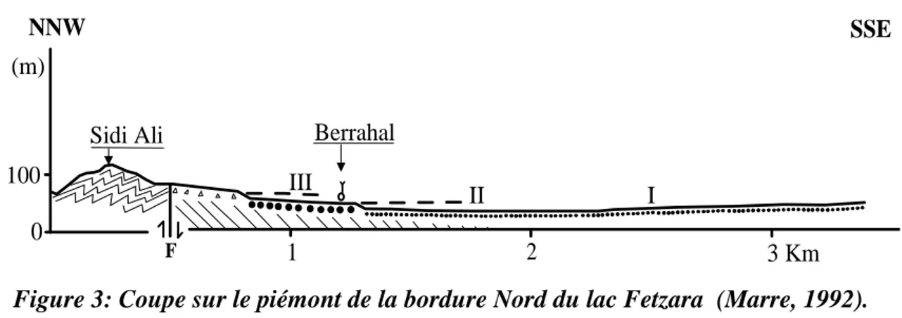 Figure 3: Coupe sur le piémont de la bordure Nord du lac Fetzara  (Marre, 1992). 