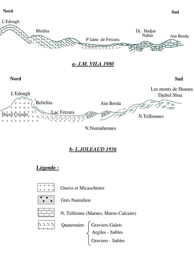 Figure 8: Coupes géologiques entre Ain Berda et l’Edough par le lac Fetzara. 