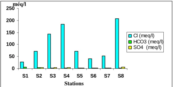 Figure 22: Evolution de la concentration des anions au niveau de la couche                   inférieure (20-40 cm)