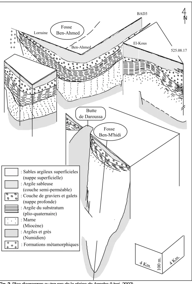Fig. 3. Bloc diagramme au travers de la plaine de Annaba (Hani, 2003). 