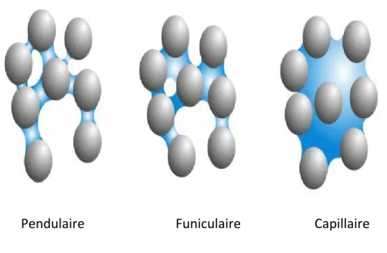 Figure 9. Classification des types d’eau contenue dans un lit de particules [39]. 