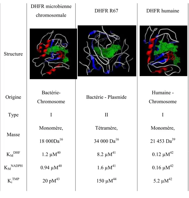 Tableau I : Caractéristique de la DHFR microbienne chromosomales, de la DHFR  R67 et de la DHFR humaine 