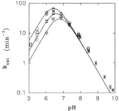 Figure  1.7:  Influence  du  pH  sur  l'activité  de  la  DHFR  R67.    Les  cercles,  carrés  et  triangles  représentent  une 