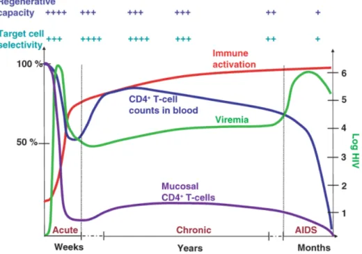Figure 4 : Phases cliniques de l’infection à VIH-1 (40). Utilisation  avec l’accord de 