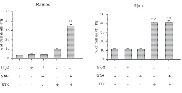 Figure 2. La réticulation du RTX par un anticorps secondaire sensibilise les cellules  Ramos à la mort cellulaire 