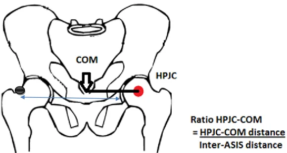 Figure 7: Illustration for the ratio of the hip prosthetic joint center and the center of mass (R HPJC-COM )