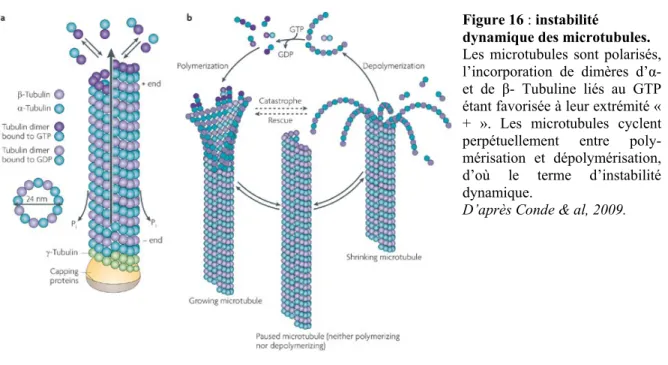 Figure 16 : instabilité 