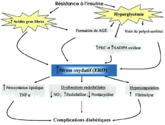 Figure 2. La résistance  à  l'insuline induit le stress oxydatif conduisant aux  complications diabétiques