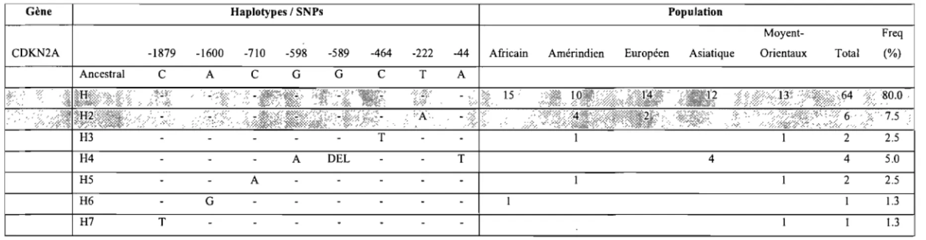 Tableau V: Liste des haplotypes régulateurs trouvés dans l'échantillon de populations de  40 individus 'pour le  gène CDKN2A 