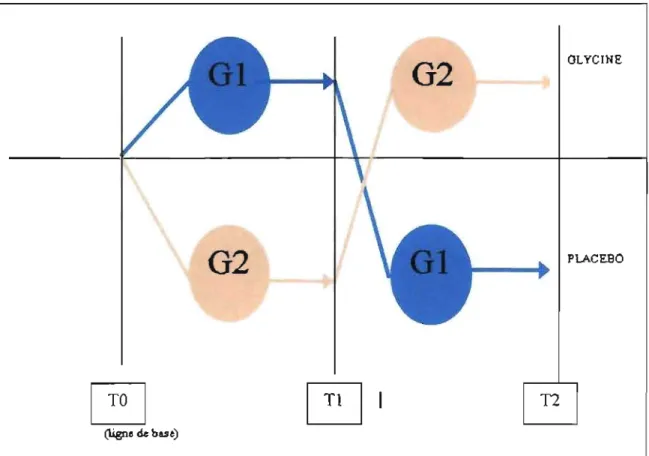 Figure 4 Schéma de la méthodologie de recherche  G2  GLYCINE  G2  PLACEBO  ~  ~I  (ligne  de bas e)  12 SEMAINES  12 SEMAINES 