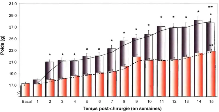 Figure  7.  Variation  dans  le temps  du  poids  corporel  des souris C57BL/6 selon  le type de chirurgie