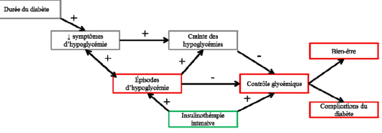 Figure 1  Facteurs associés à la crainte des hypoglycémies et ses conséquences  