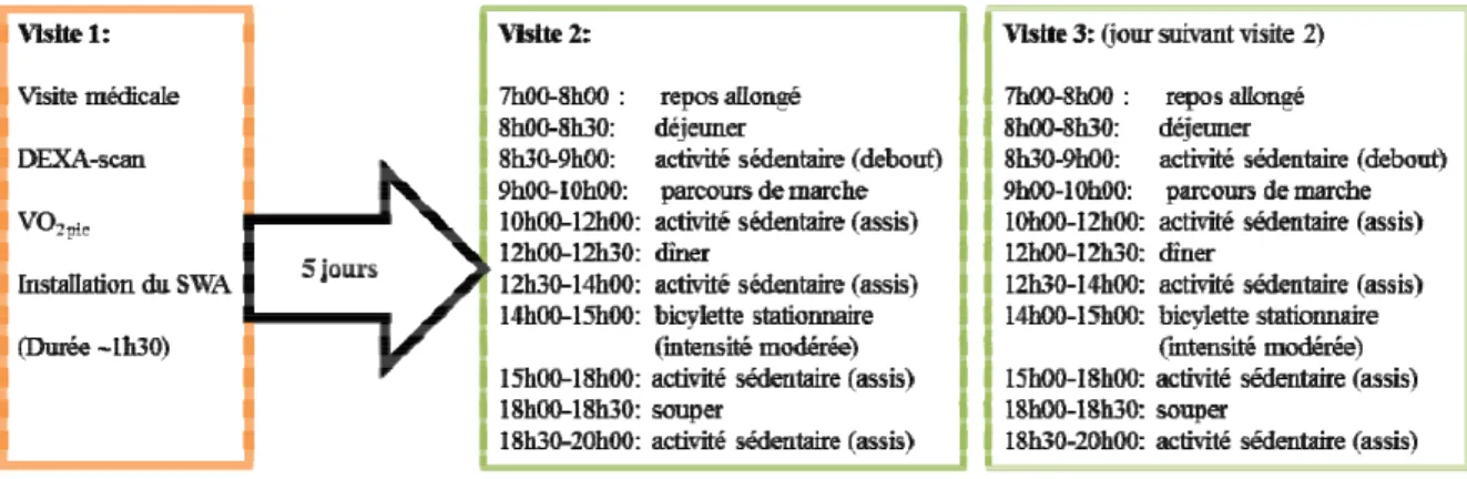 Figure 7  Représentation de l’intervention PEP-1 selon les modèles théoriques 