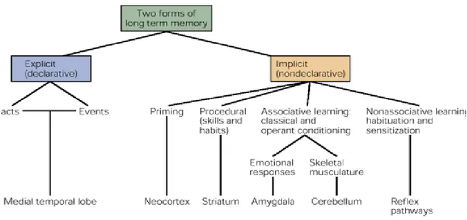 Figure 1 Types of memories. Various forms of memory can be classified as explicit or  implicit memory
