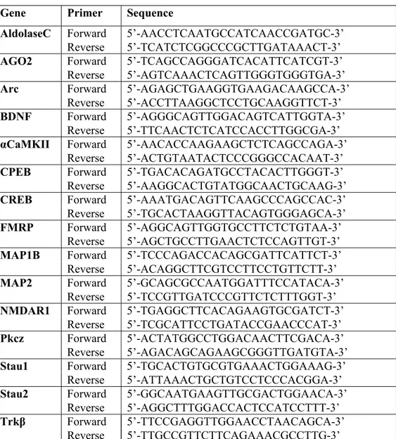 Table I Sequence information of the rattus norvegicus primer pairs for use in  quantitative real-time PCR 
