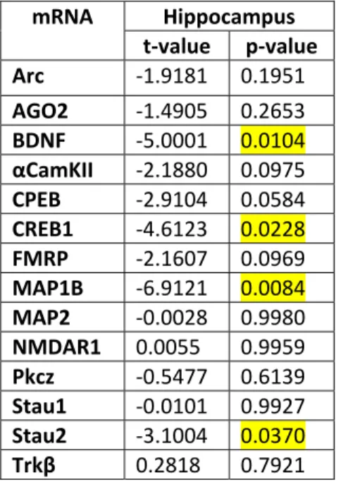 Table III  p-value: Statistical significance in the hippocampus (CA1-CA3 fields) of  3xTg and WT mice relative to aldolase C