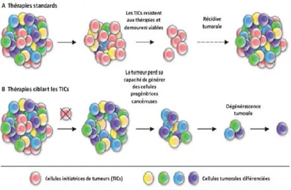 Figure 7 . Thérapies standards versus les stratégies thérapeutiques dirigées contre les  TICs