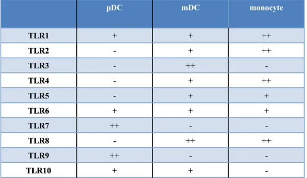 Tableau II : Expression des TLR par les différentes sous-populations de               cellules dendritiques humaines et par les monocytes