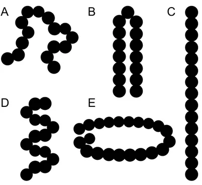 Figure I-6. Différentes structures secondaires proposées pour les polyglutamines. A,  aléatoire; B, coude  β; C, brin β; D, hélice (α, PPII, 3-10, μ ou π); E, hélices β parallèle ou  antiparallèle