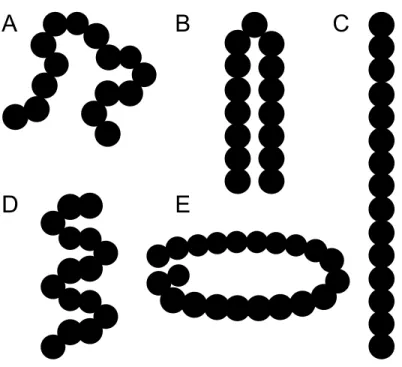 Figure I-6. Différentes structures secondaires proposées pour les polyglutamines. A,  aléatoire; B, coude  β; C, brin β; D, hélice (α, PPII, 3-10, μ ou π); E, hélices β parallèle ou  antiparallèle