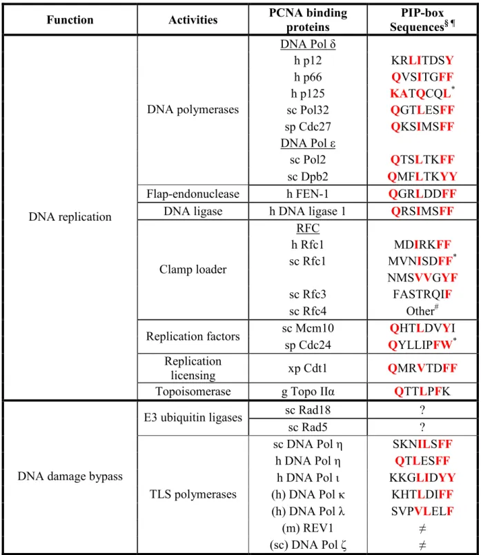 Table 1.1 PCNA binding proteins 
