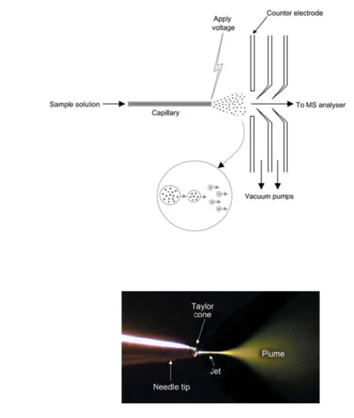 Figure  1.7  The  electrospray  ionization  (ESI)  process.  a)  Schematic  diagram  of  an  ESI 