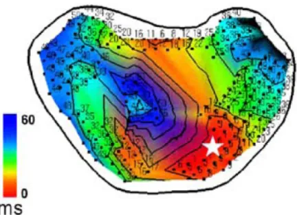 Figure 12. Principles of isointegral mapping. 141