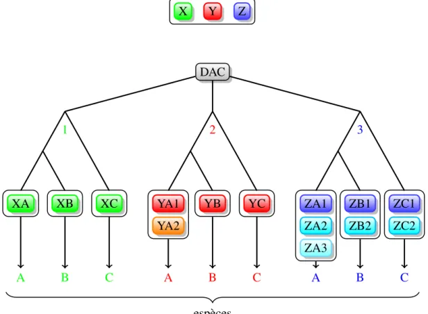 Figure 1.1 – Arbre phylogénétique hypothétique illustrant l’évolution de trois familles dans les génomes de A, B, C