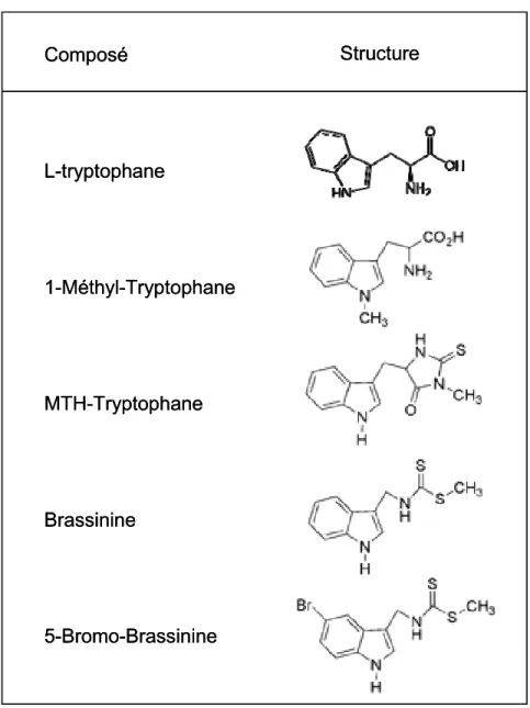 Figure 9  Structure moléculaire du tryptophane et de molécules analogues. 