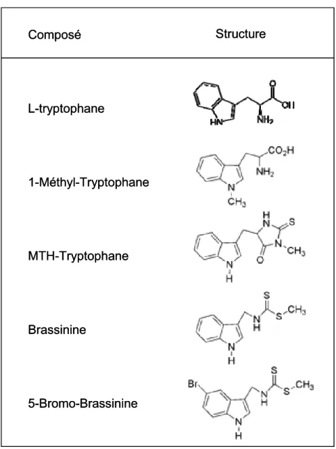 Figure 9  Structure moléculaire du tryptophane et de molécules analogues. 