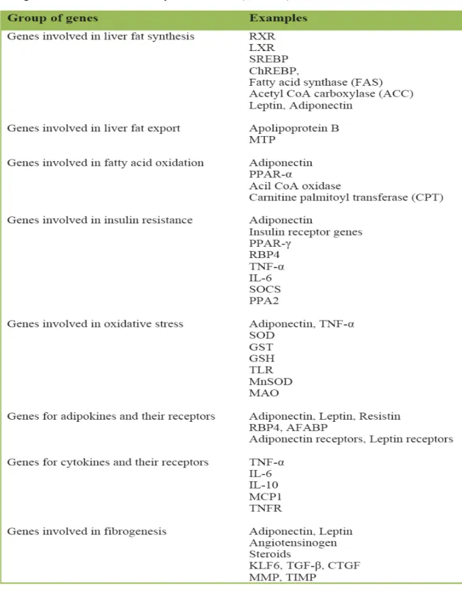 Table 3. Taken from [Wilfred de Alwis and Day 2007] Genes potentially involved in the  pathogenesis of nonalcoholic fatty liver disease (NAFLD)