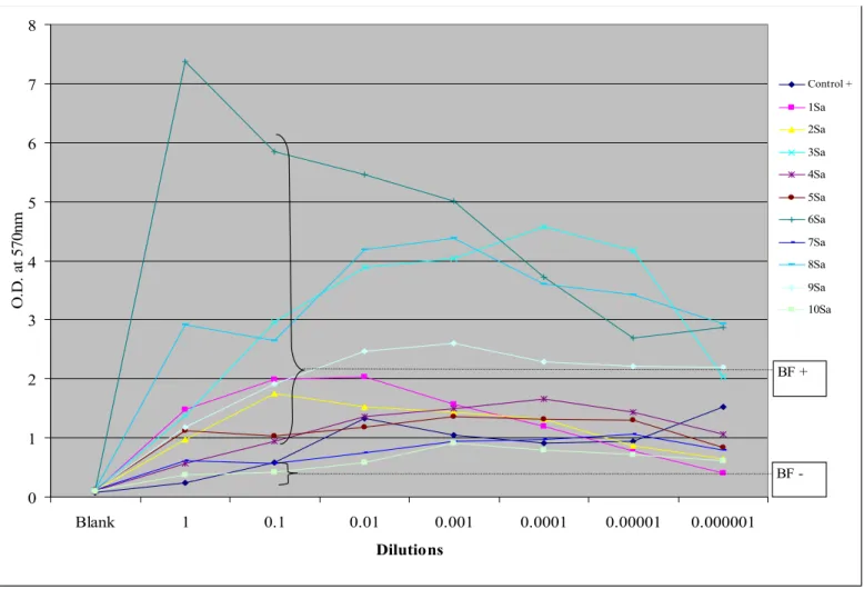 Figure II. Biofilm-forming capacity for Staphylococcus aureus. The average O.D. is plotted for the  different serial dilutions