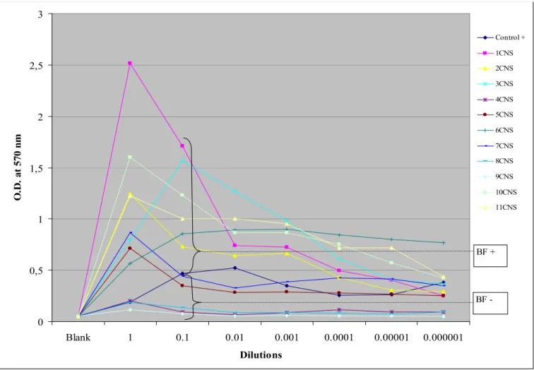 Figure III. Biofilm-forming capacity for Coagulase negative staphylococci. The average O.D