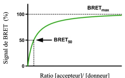 Figure 2.2 : Représentation schématique d’une courbe théorique de saturation  en BRET