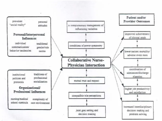 Figure 5. Modèle conceptuel des interactions de collaboration médico-infirmière (Tiré  de D’Amour et al., 2004, p