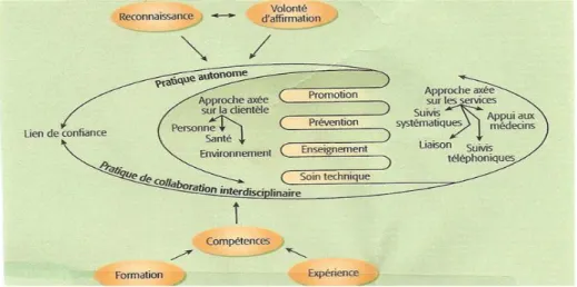 Figure 9. Conceptualisation de la pratique infirmière en interdisciplinarité (Roy &amp;  Sylvain, 2004, p.23)