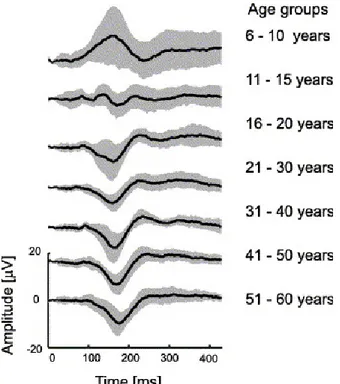 Figure 3 : Courbes moyennes de réponses aux PEVs de mouvement en fonction de l’âge  (n total =70) (Langrova, et al., 2006)