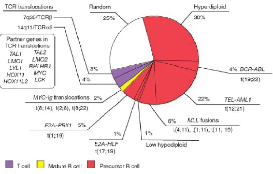 Figure 1 : Fréquence des altérations génétiques dans la LLA chez les enfants [2].  