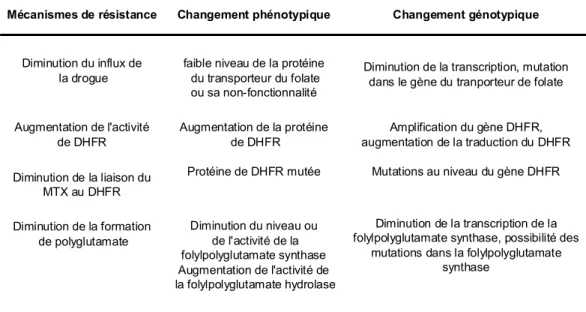 Tableau II  : Mécanismes de résistance au MTX dans les tumeurs  expérimentalement induites ( traduit de Gorlick R et al., 1996 [54])