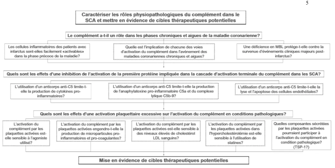 Figure 1. Chronologie des investigations effectuées.  Les boites  en pointillés  sont les sujets qui ont été traités dans les  articles inclus dans  cette thèse