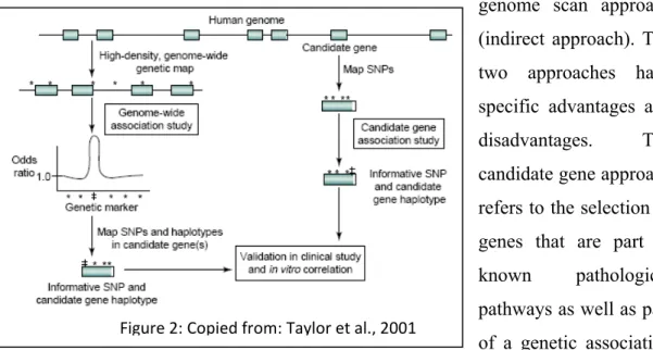 Figure 2: Copied from: Taylor et al., 2001
