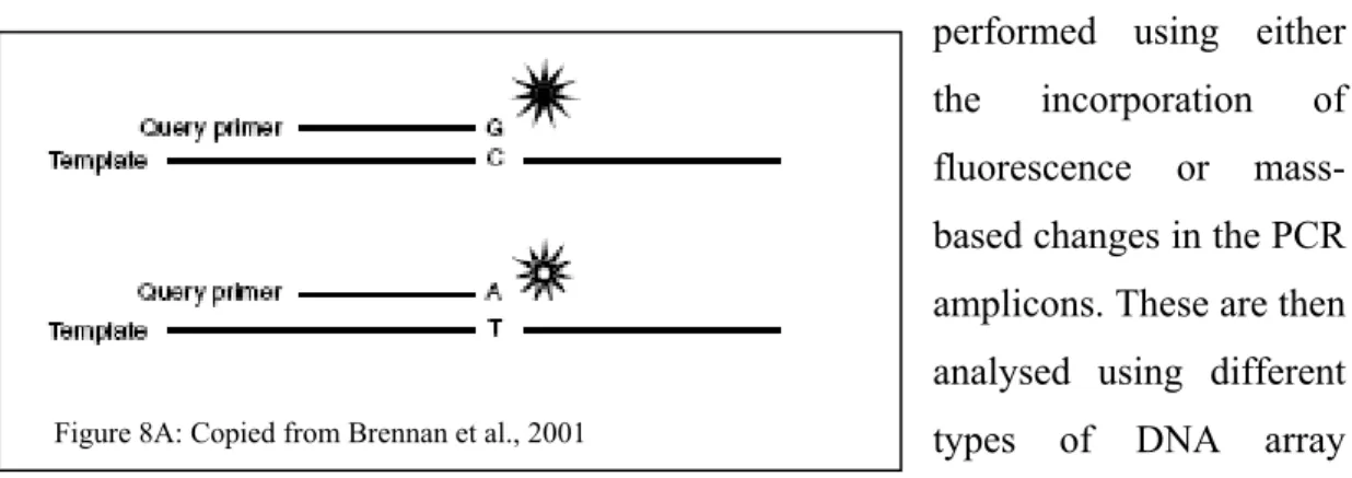 Figure 8A: Copied from Brennan et al., 2001 