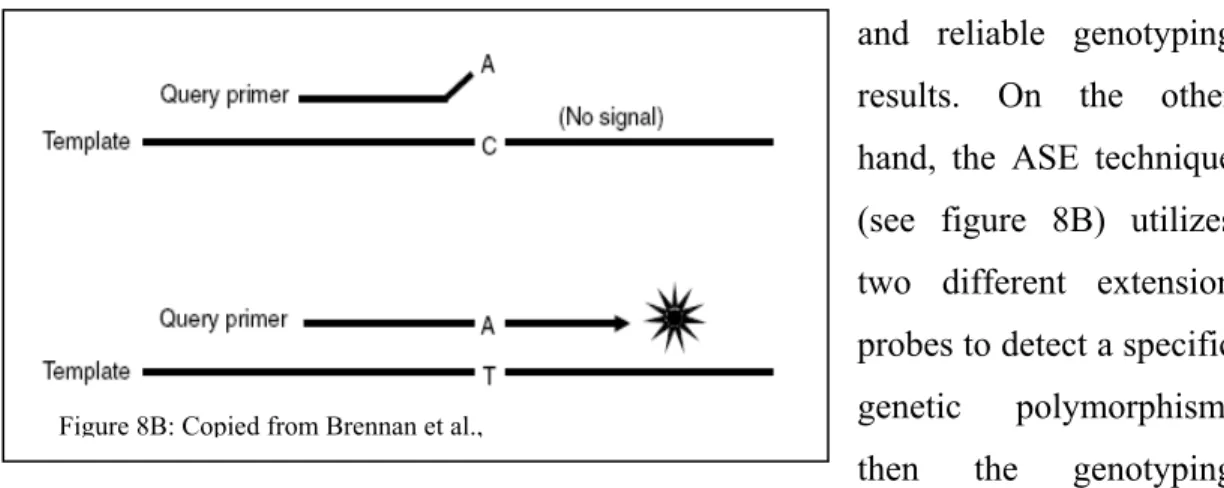 Figure 8B: Copied from Brennan et al., 