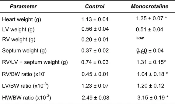 Table 1. Effect of monocrotaline treatment on selected organ weights. 